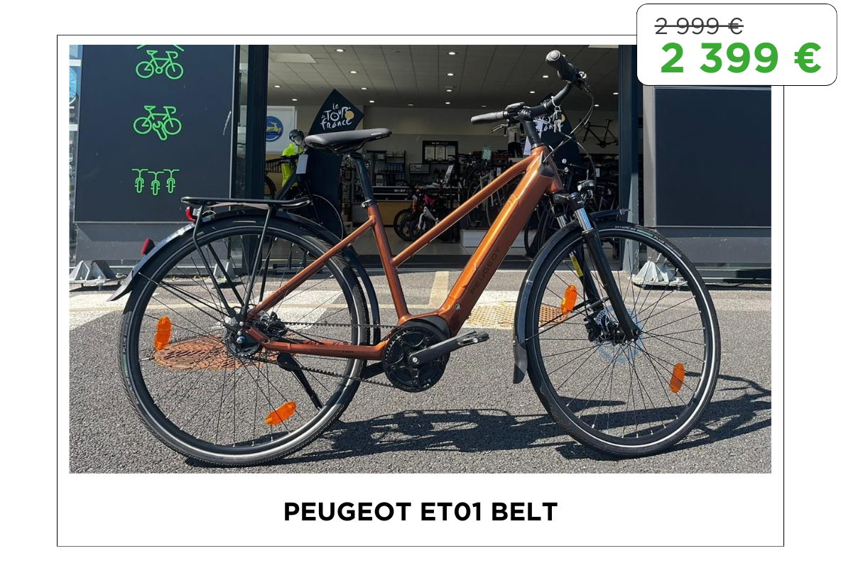 Peugeot et01 belt