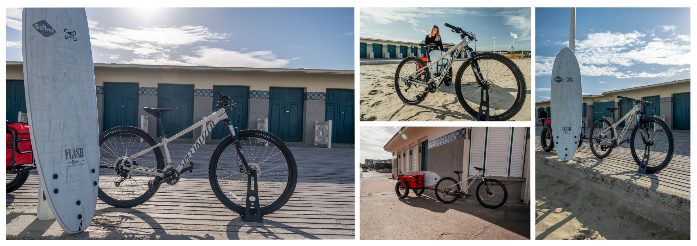 specialized